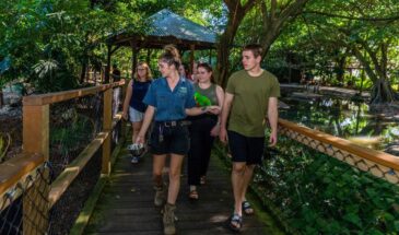 WildLife Tours