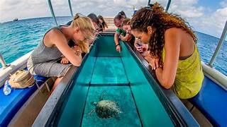Ocean Adventure